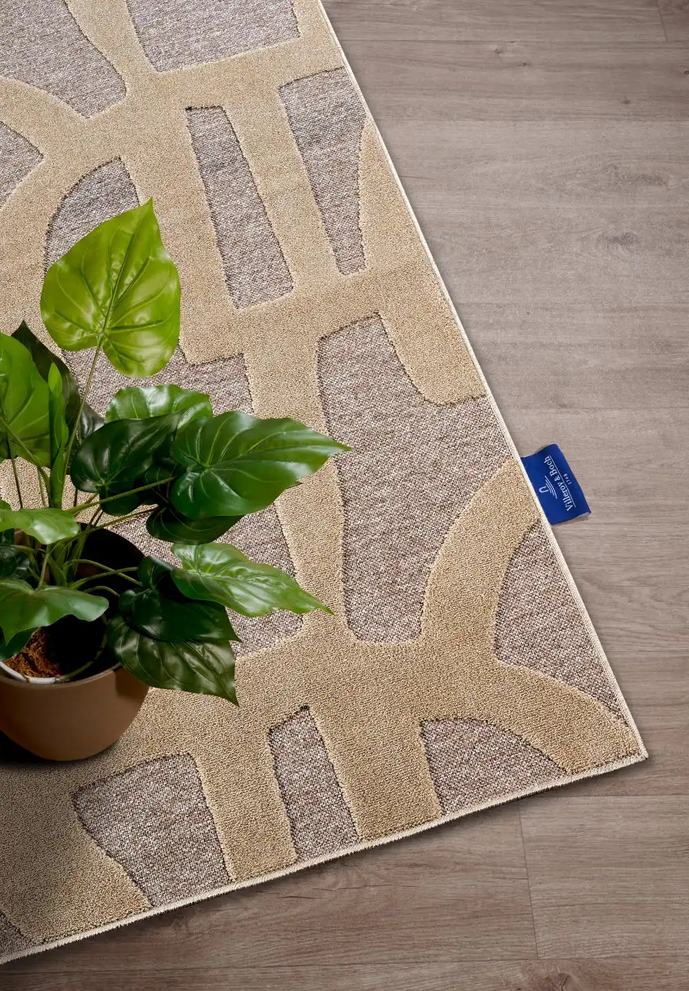1879 106142 Natural Grey Beige Rug - Image 4