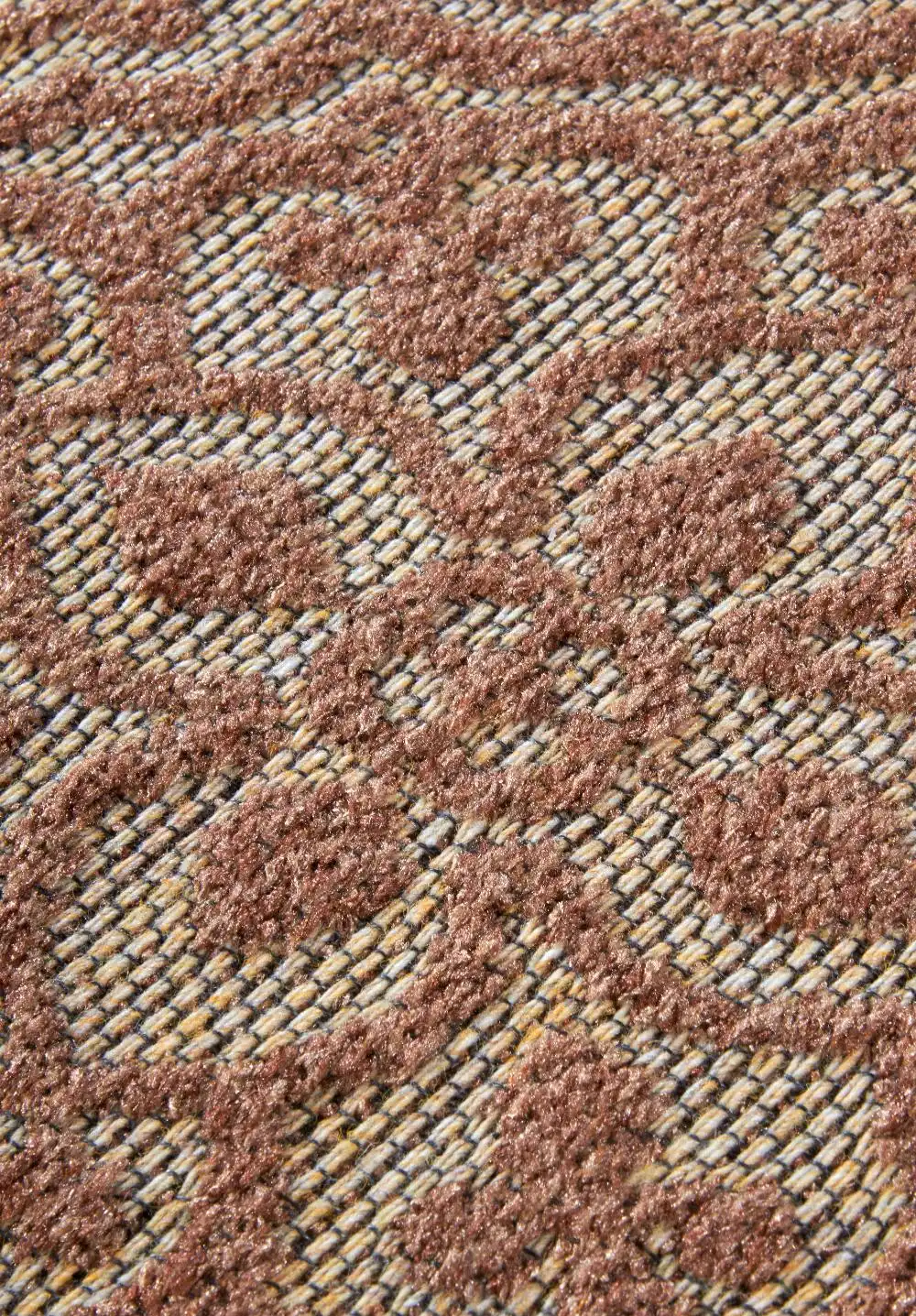 1883 Indoor Outdoor 106155 Natural Copper Rug - Image 5
