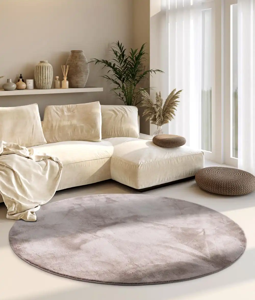 1899 Leon 106160 Light Grey Rug - Image 5
