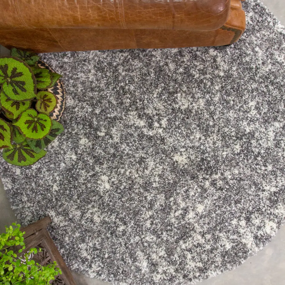 Alder Silver - Image 6