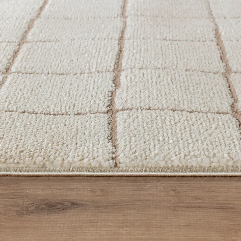 Cascade Our Pnw Home X Livabliss Scandi High Pile Taupe/Ivory Rug - Image 4