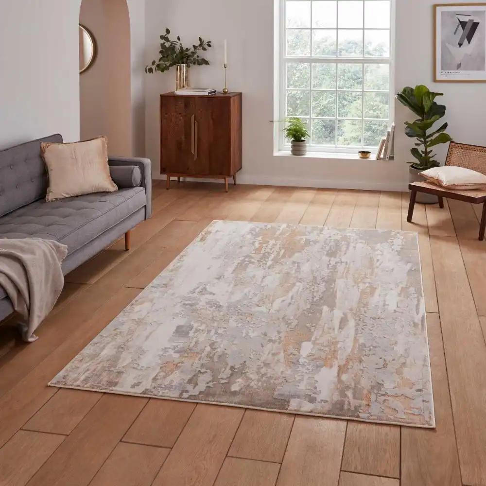Apollo Think GR580 Bronze Grey Rug
