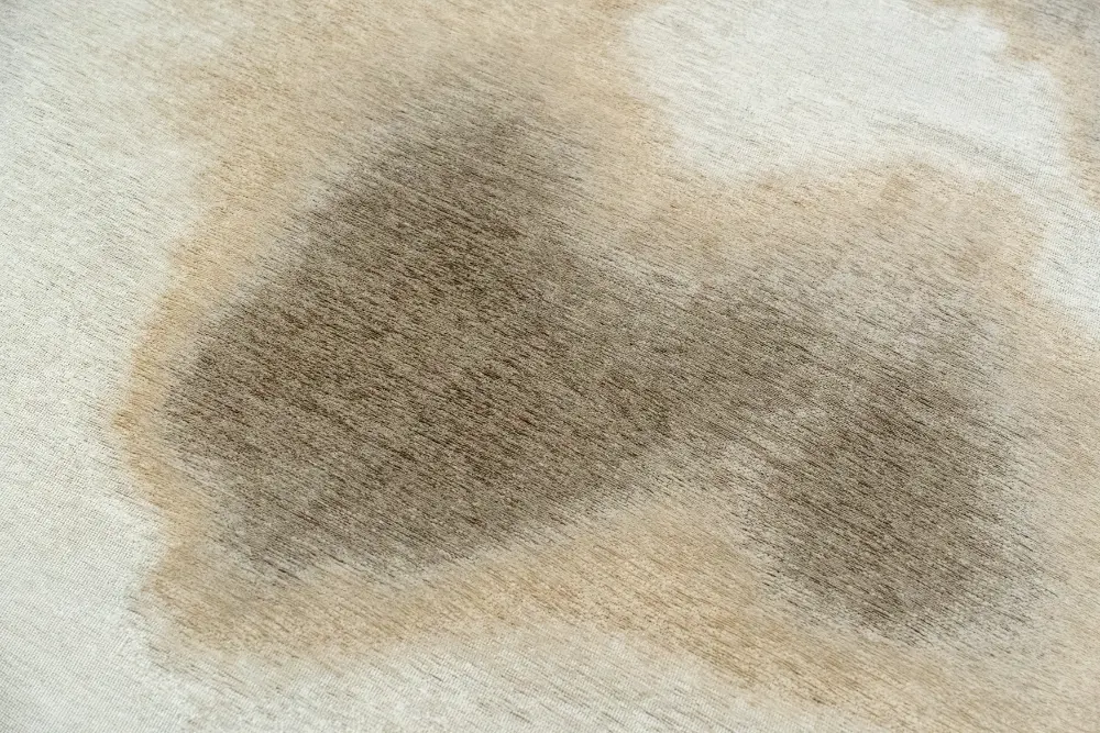 AQUARELLE NATURE 2089 Washable and Indoor/Outdoor - Image 5