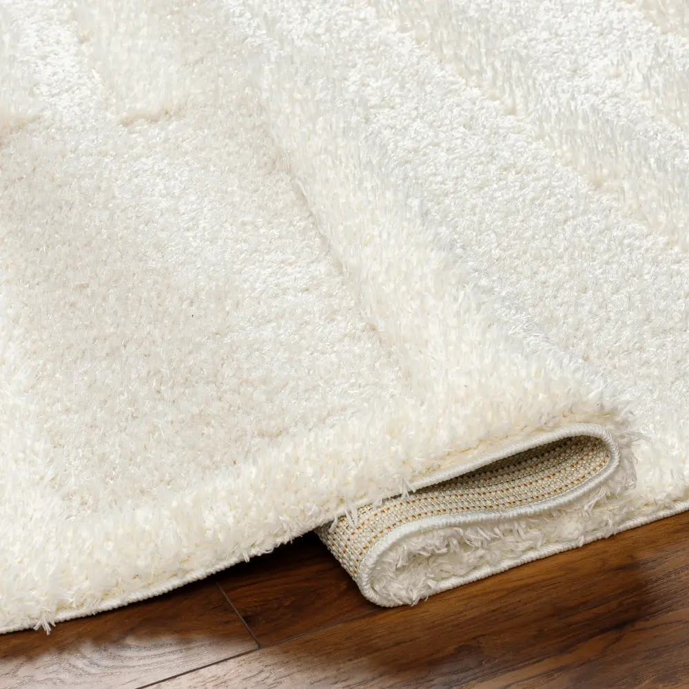 Bahrani Shaggy Modern Plush Pile Beige/Ivory Rug - Image 5