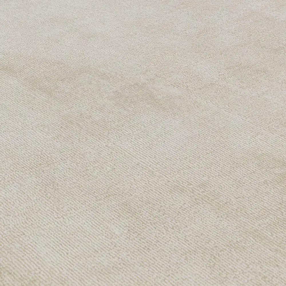 Blade Border Blade Border Putty Charcoal 10 Rug - Image 3