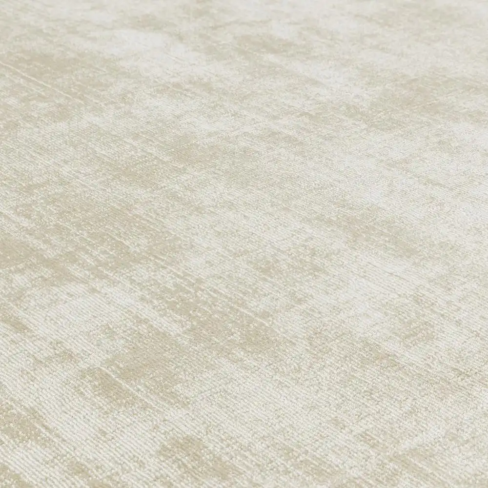 Blade Border Putty Silver 07 Rug - Image 3