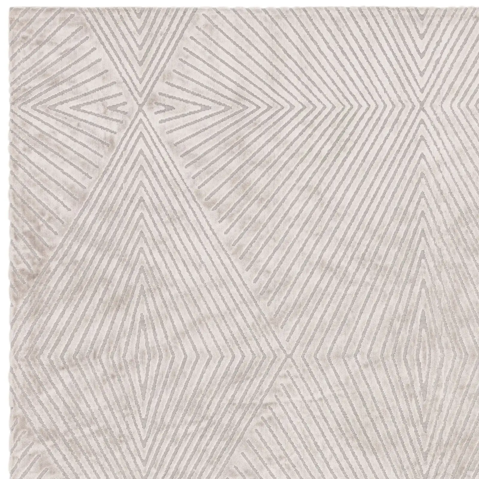 Blaize Silver Rug - Image 3