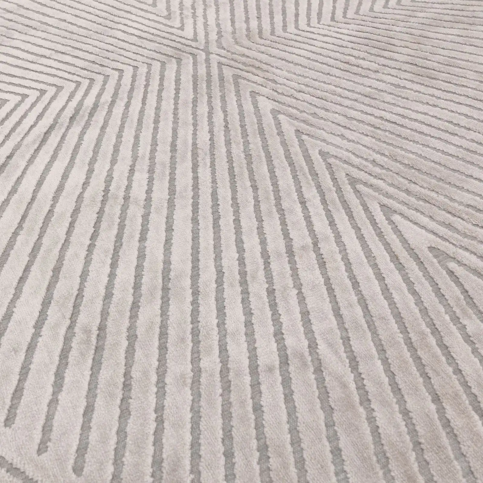 Blaize Silver Rug - Image 4