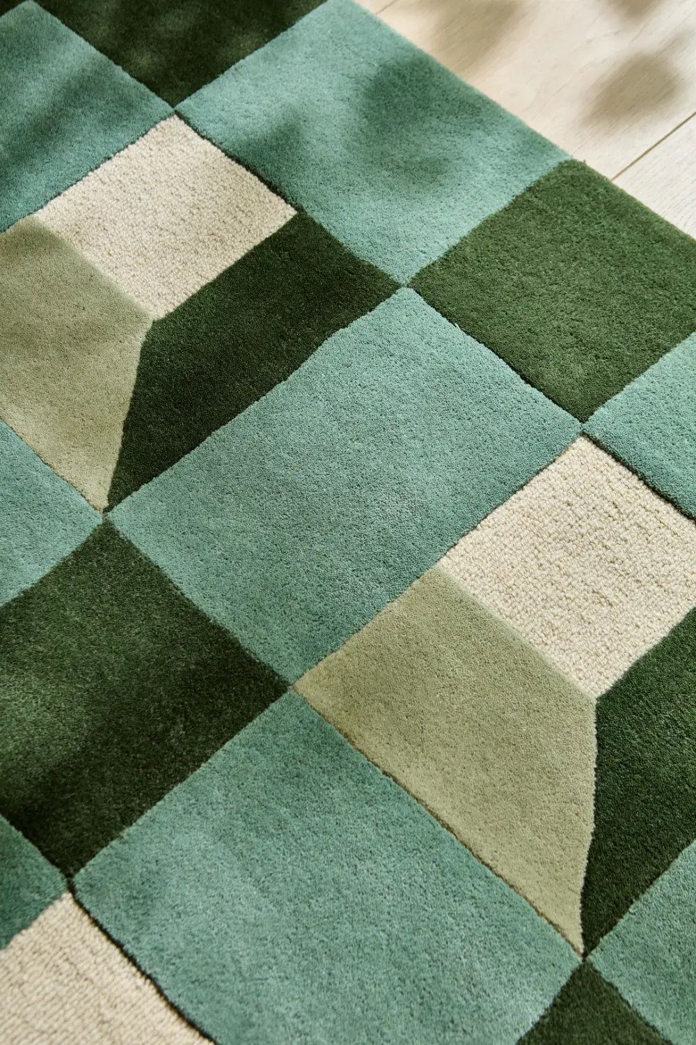 Blocks  Fern 141907 - Image 3