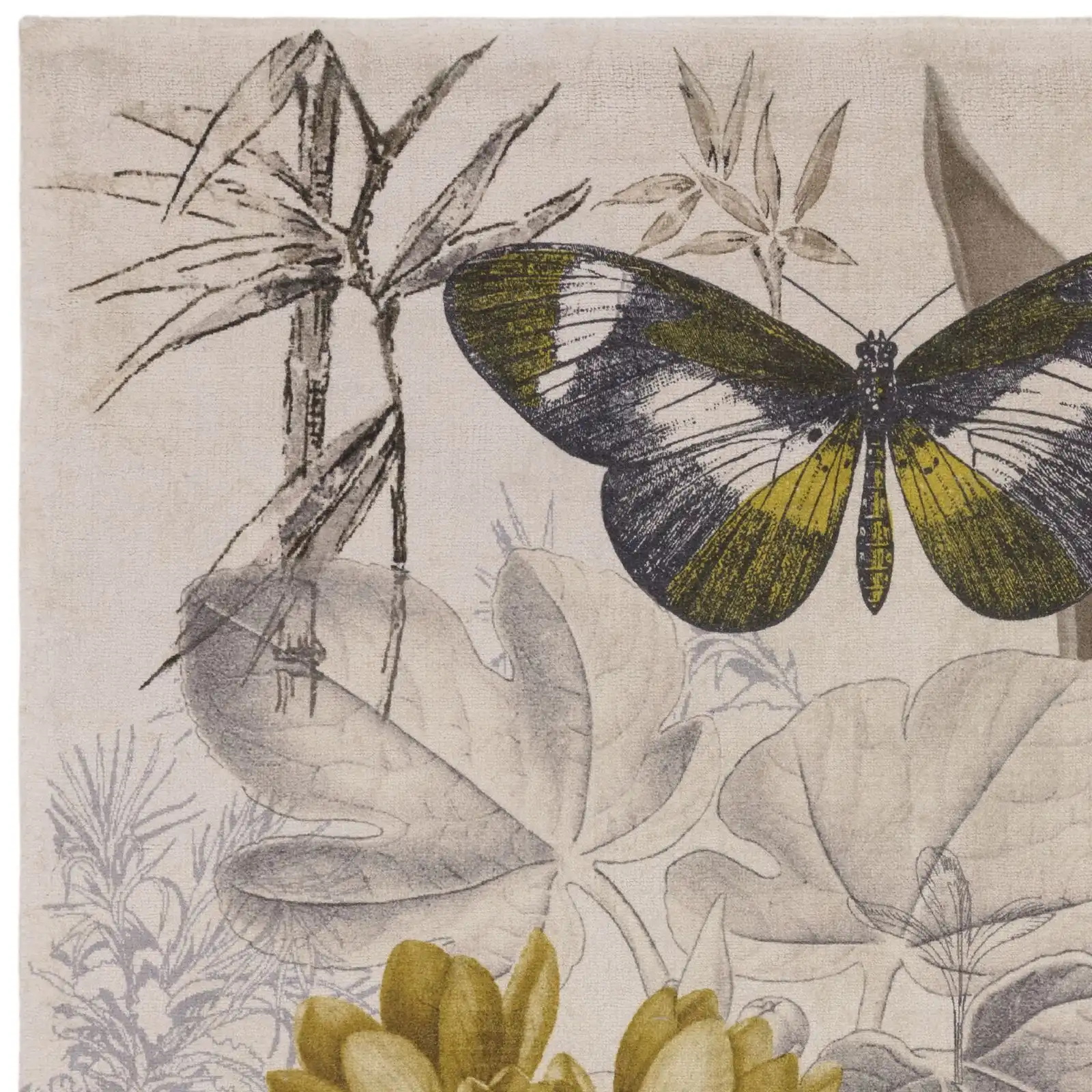 Botany CC Botany Rug - Image 3