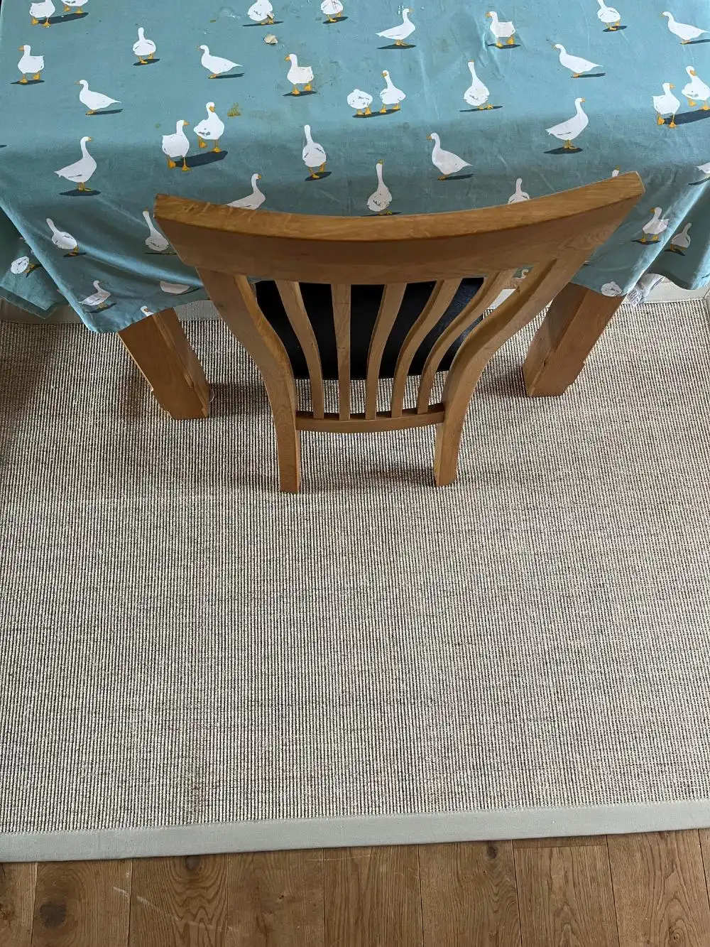 Boucle Sisal Celeriac and Sandstone Border Rug - Image 7