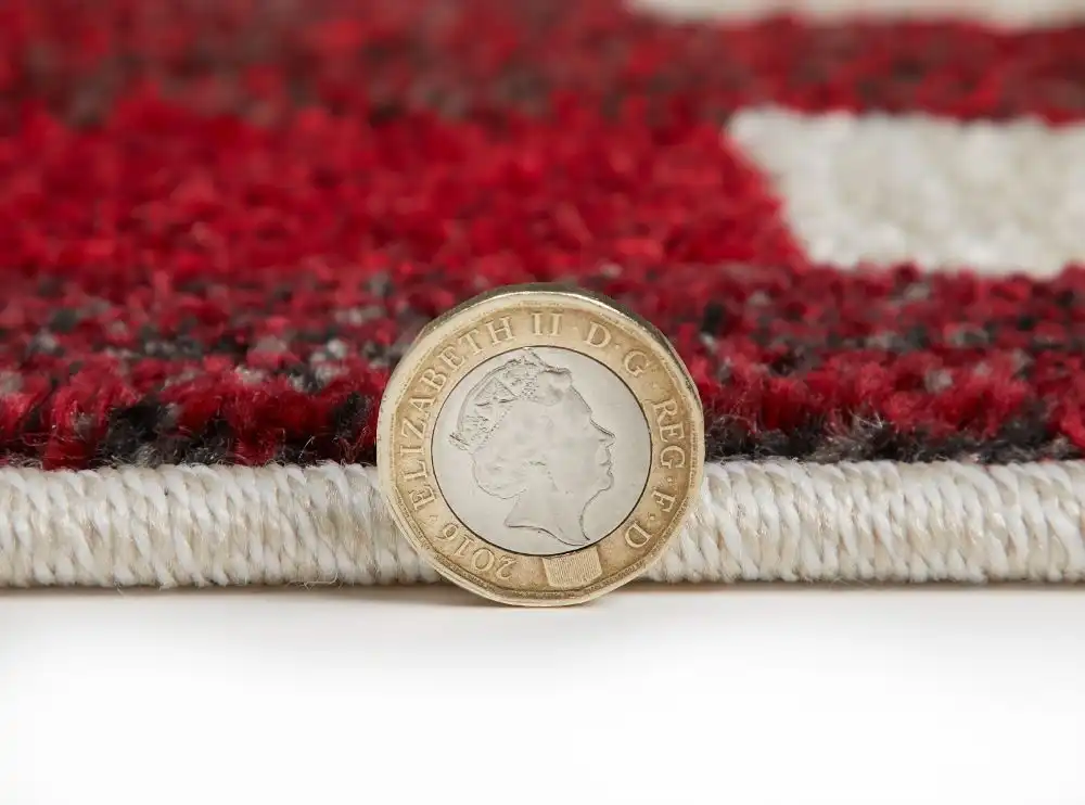 CARNAVAL CAR108 Rug - Image 6