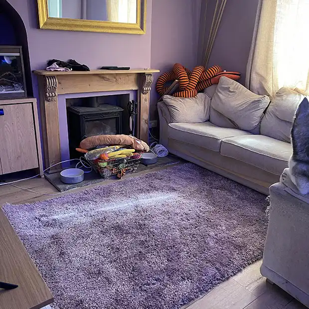 Chicago Lavender Rug - Image 2
