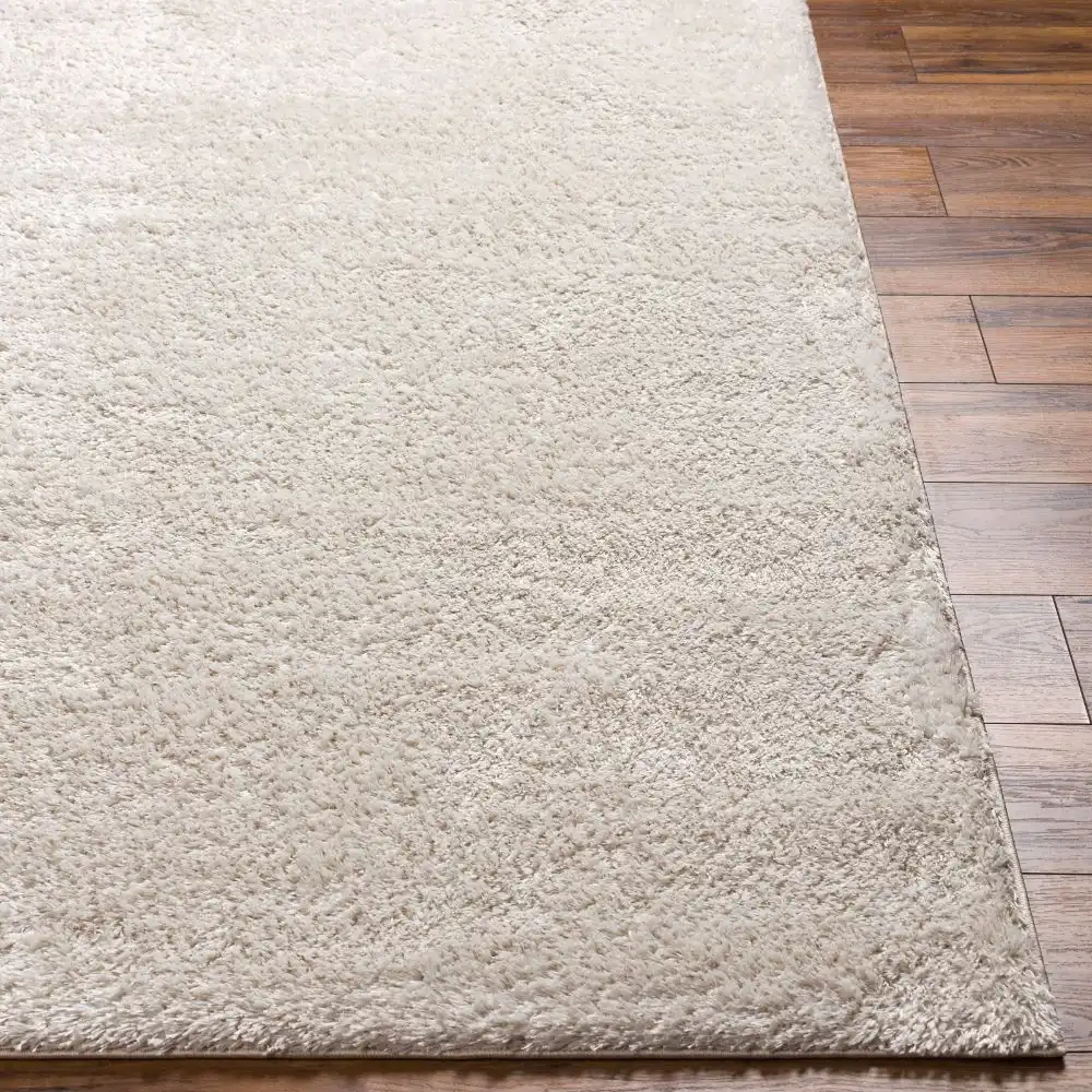 Claire Shaggy Solid Color Plush Pile Light Beige Rug - Image 2