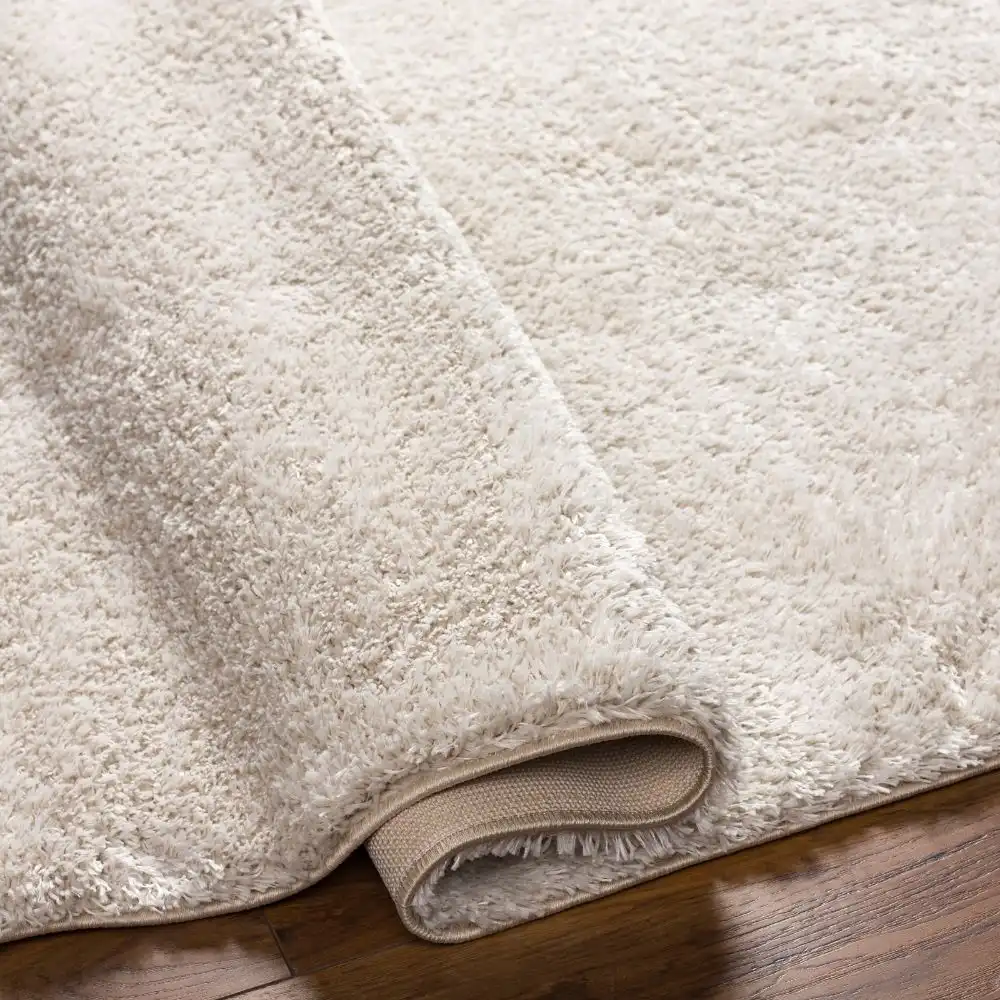Claire Shaggy Solid Color Plush Pile Light Beige Rug - Image 3