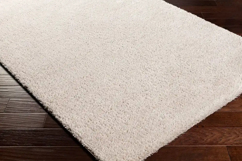 Claire Shaggy Solid Color Plush Pile Light Beige Rug - Image 4