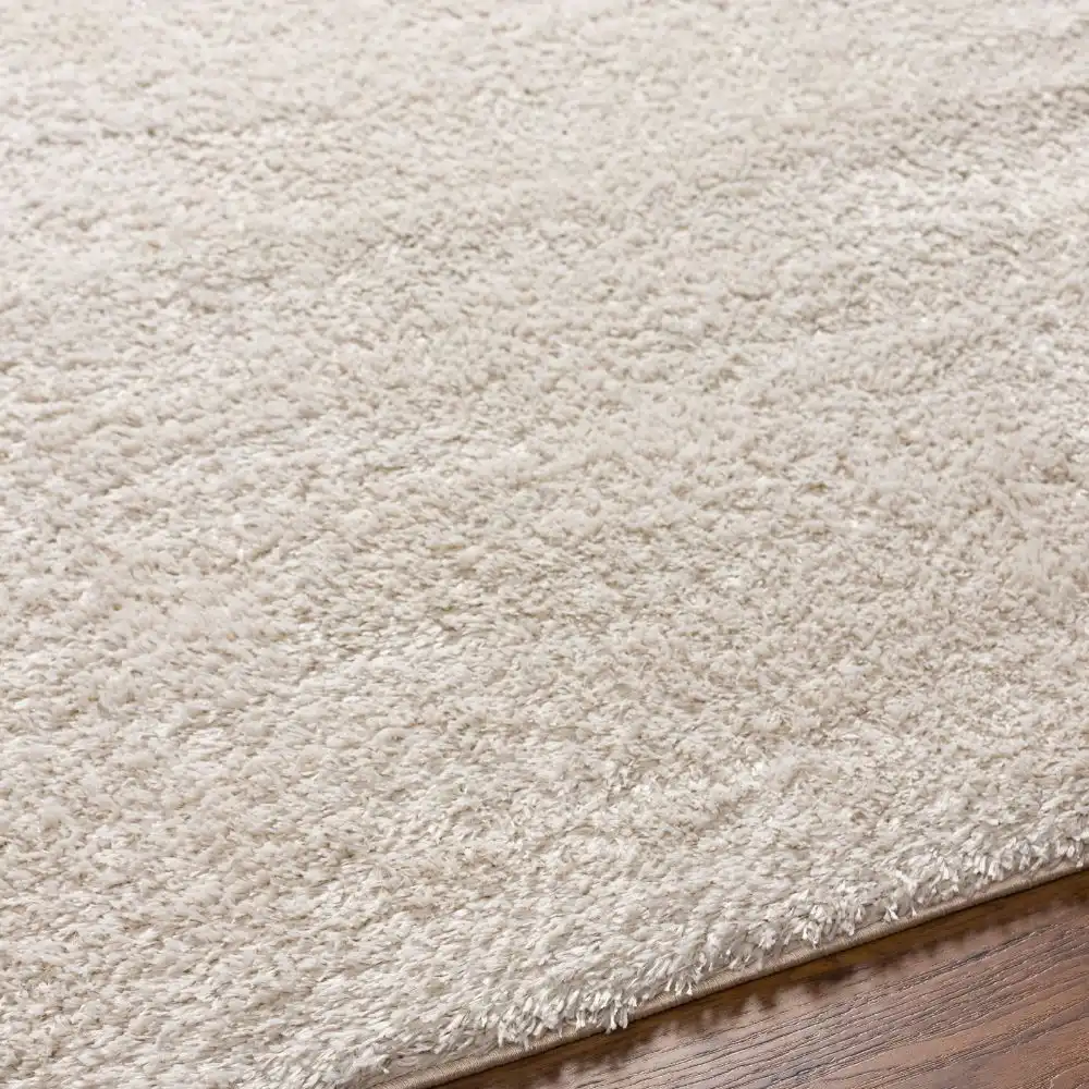 Claire Shaggy Solid Color Plush Pile Light Beige Rug - Image 7