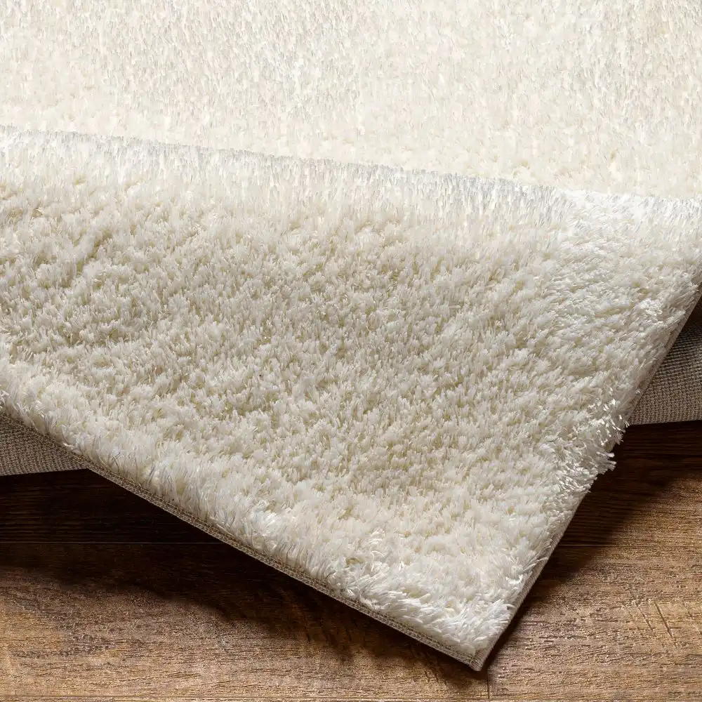 Claire Shaggy Solid Color Plush Pile Off-White Rug - Image 4