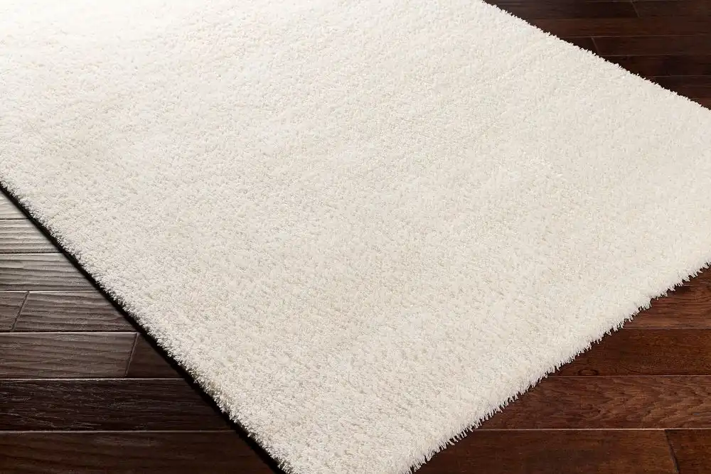 Claire Shaggy Solid Color Plush Pile Off-White Rug - Image 5