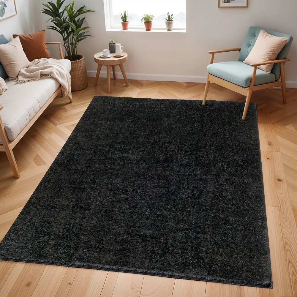 Claire Shaggy Solid Color Plush Pile Black Rug