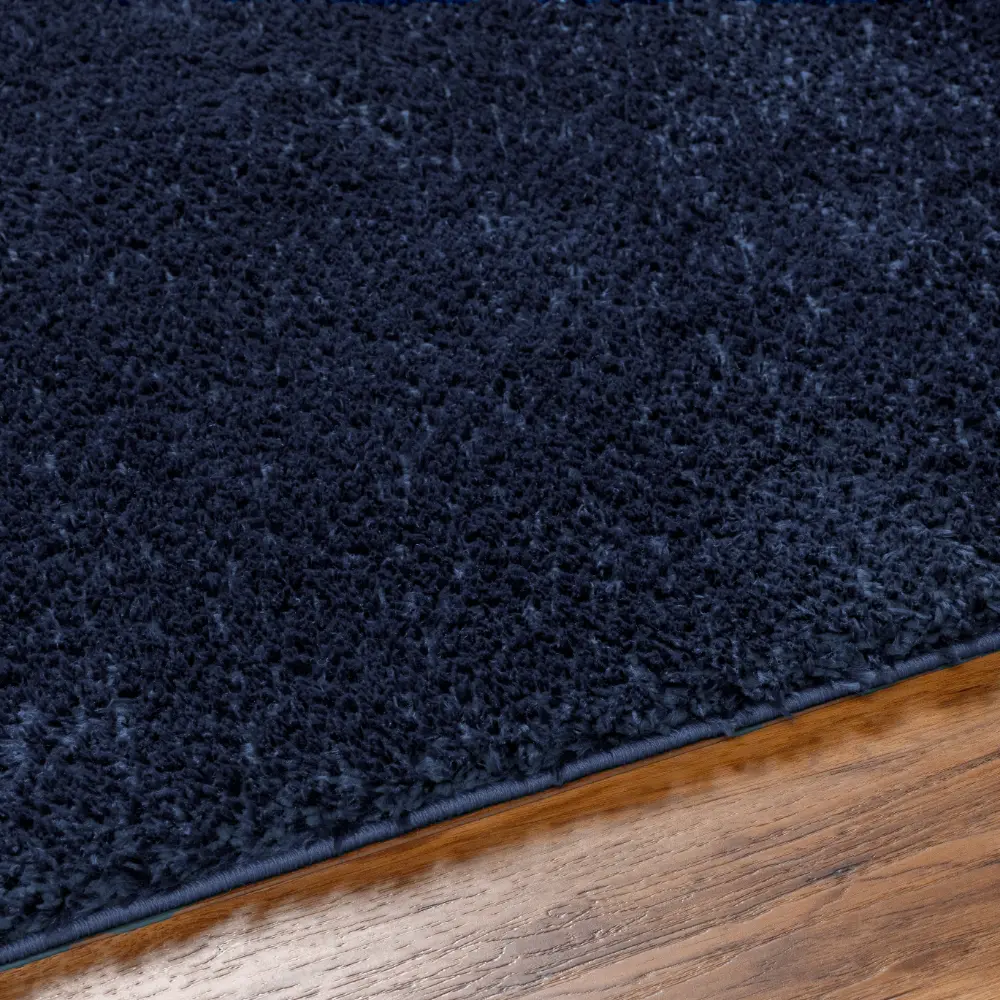 Claire Shaggy Solid Color Plush Pile Cobalt Rug - Image 4