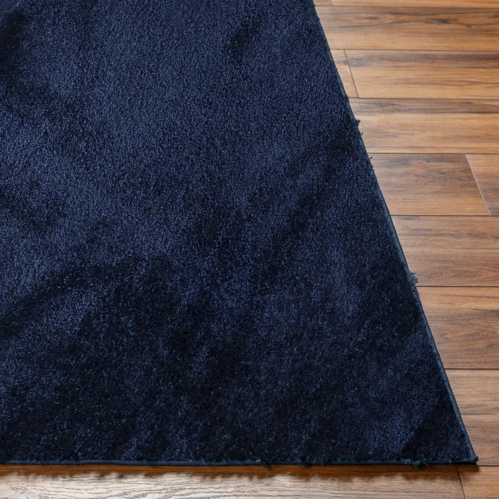 Claire Shaggy Solid Color Plush Pile Cobalt Rug - Image 8