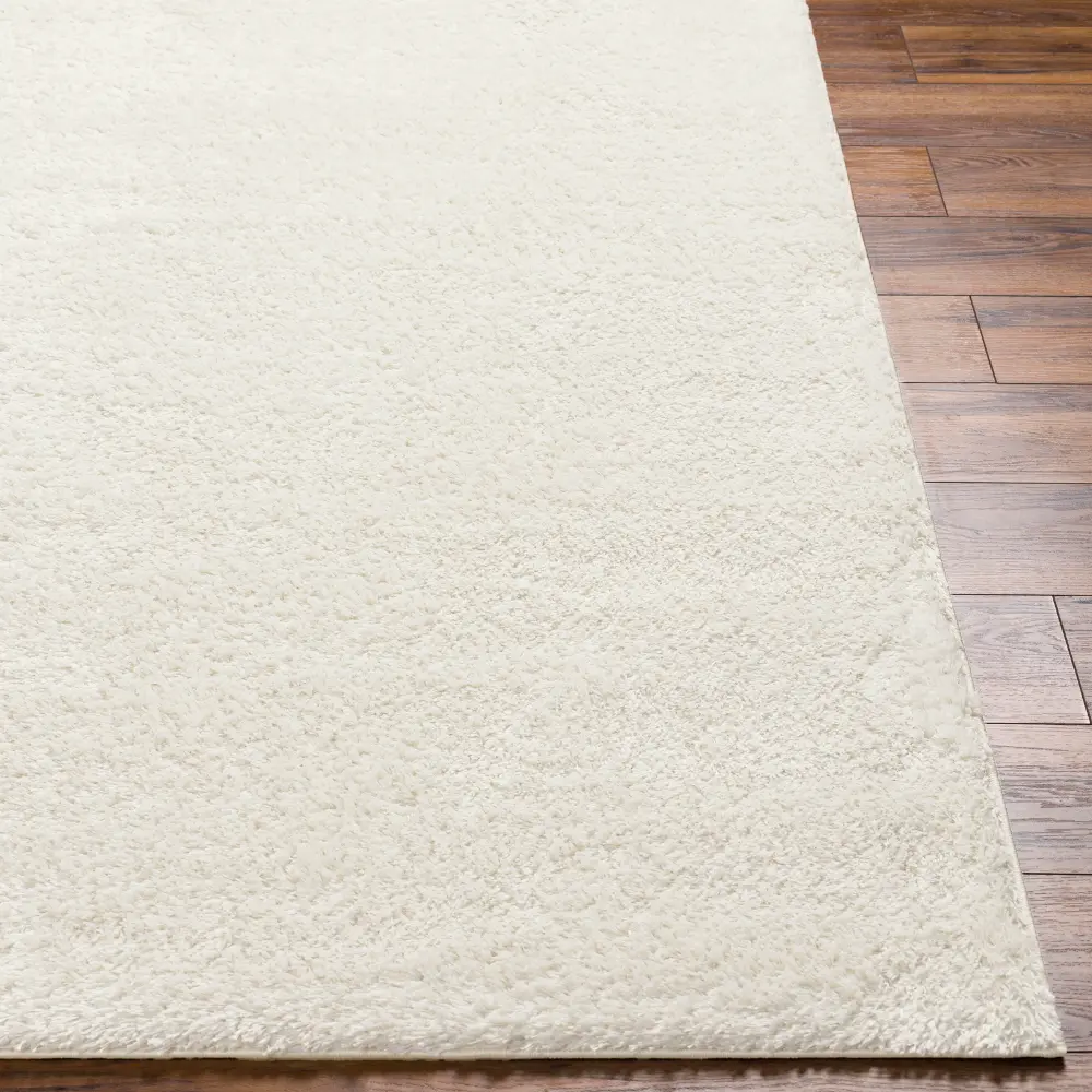 Claire Shaggy Solid Color Plush Pile Light Beige Rug - Image 3