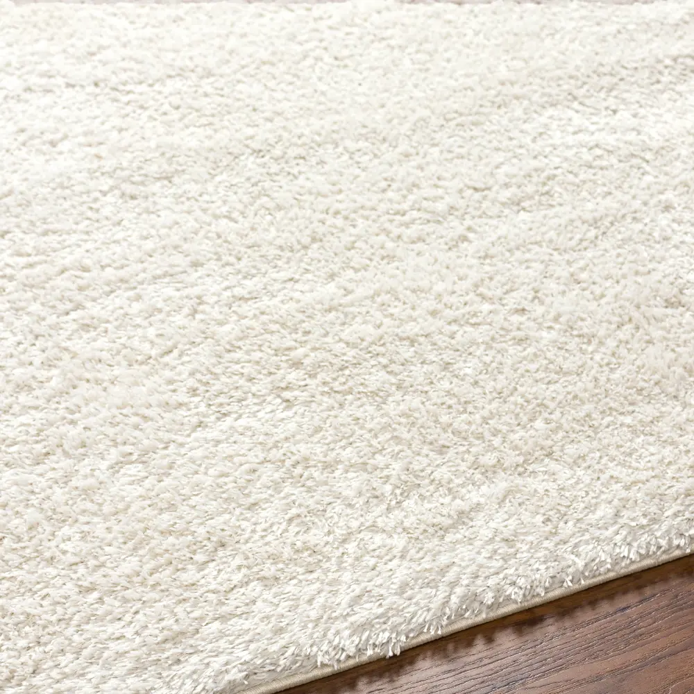 Claire Shaggy Solid Color Plush Pile Light Beige Rug - Image 5