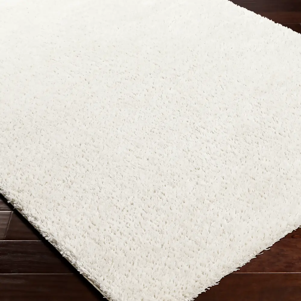 Claire Shaggy Solid Color Plush Pile Light Beige Rug - Image 9