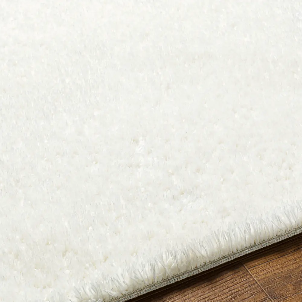 Claire Shaggy Solid Color Plush Pile Off-White Rug - Image 8