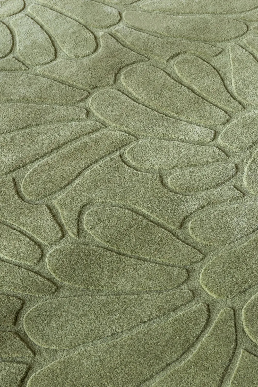 Coleby Petals Laura Ashley Hedgerow Green 078807 Rug - Image 6