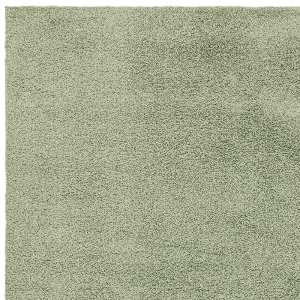 Como Sage - Image 11