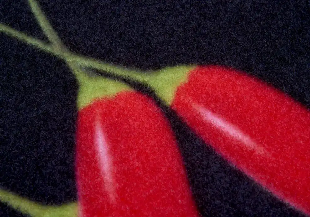 Cook & Clean 105727 Chilli Rug - Image 2