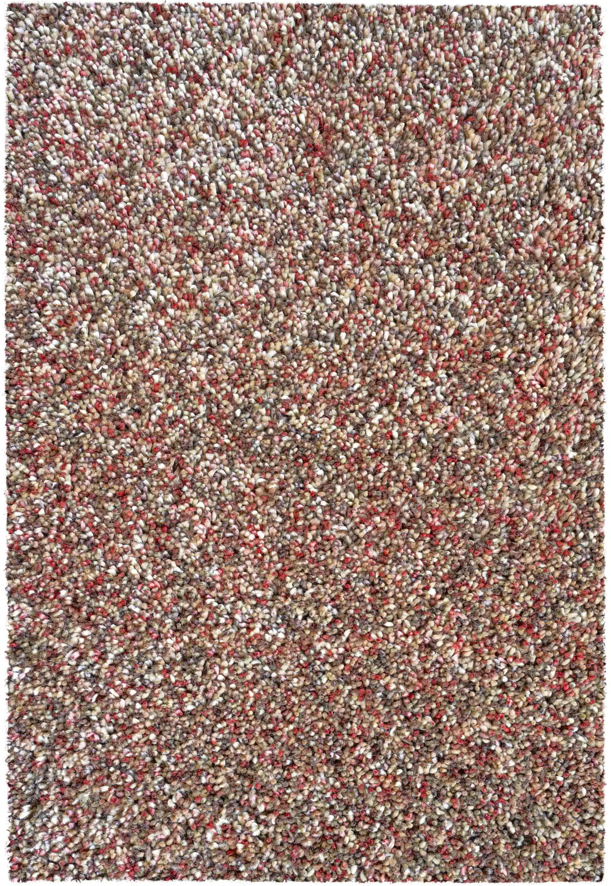 Coral 24001 1121 Rug