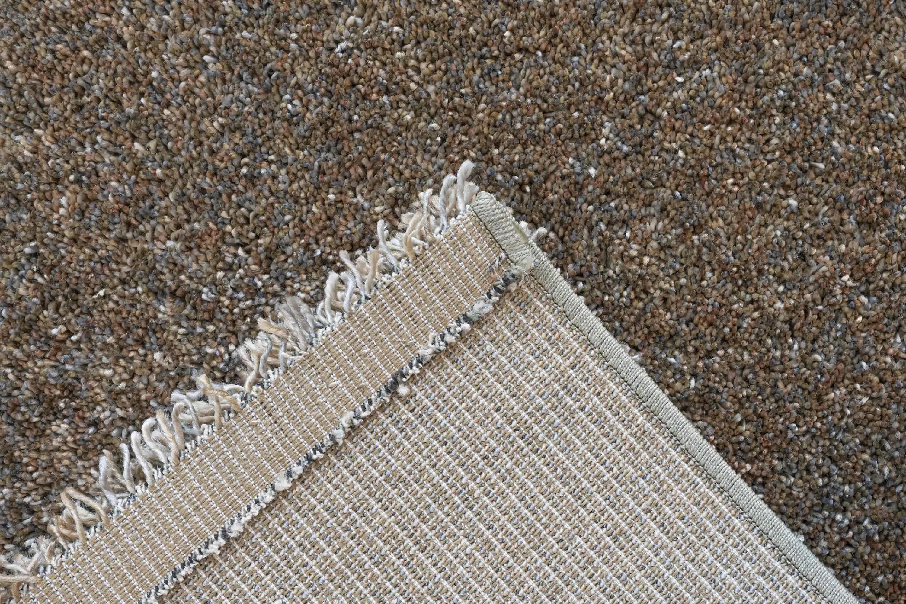 Coral 24001 2191 Rug - Image 5
