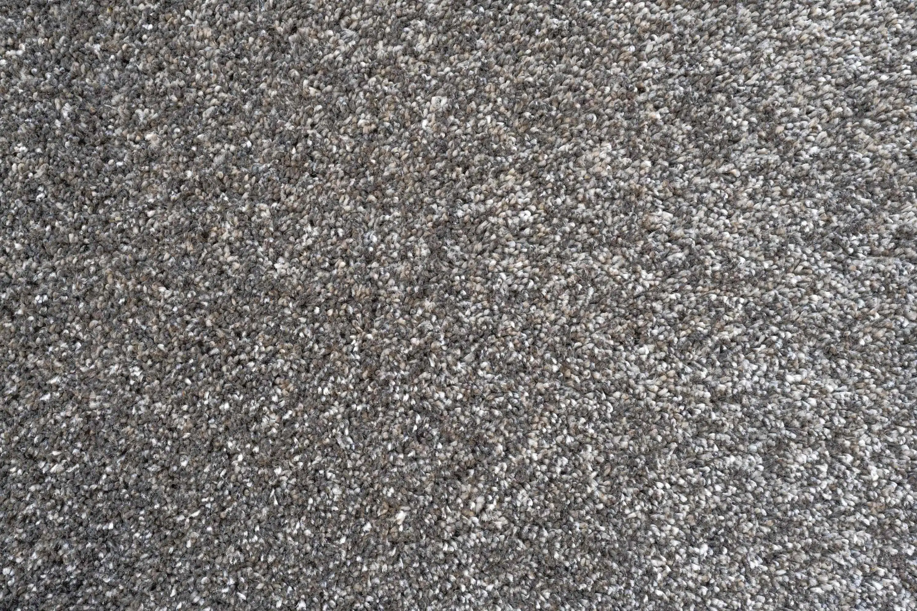 Coral 24001 3232 Rug - Image 2