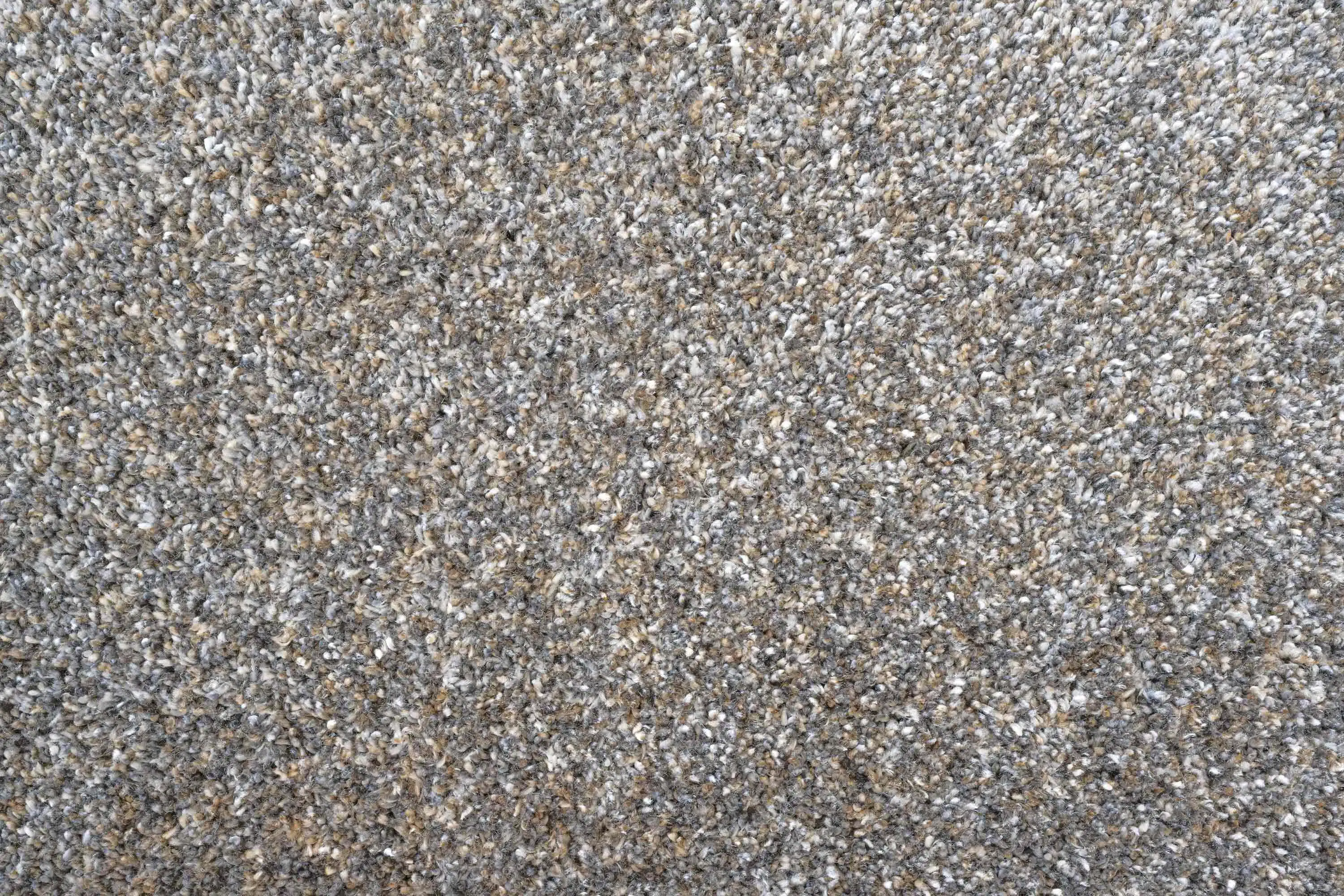 Coral 24001 3292 Rug - Image 2