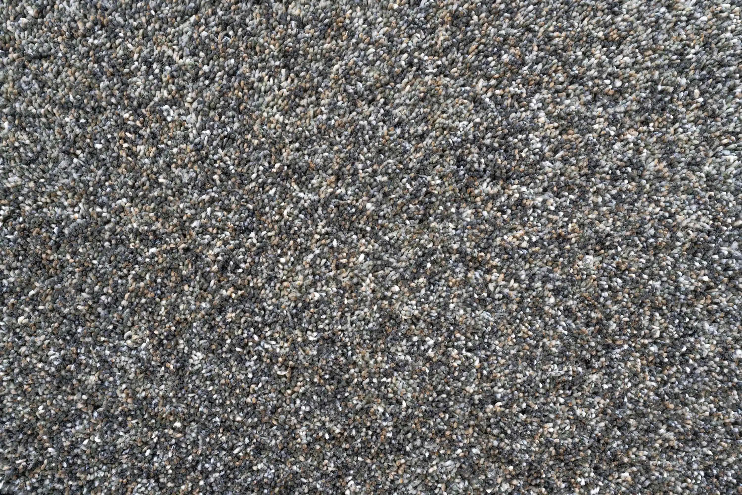 Coral 24001 4191 Rug - Image 3