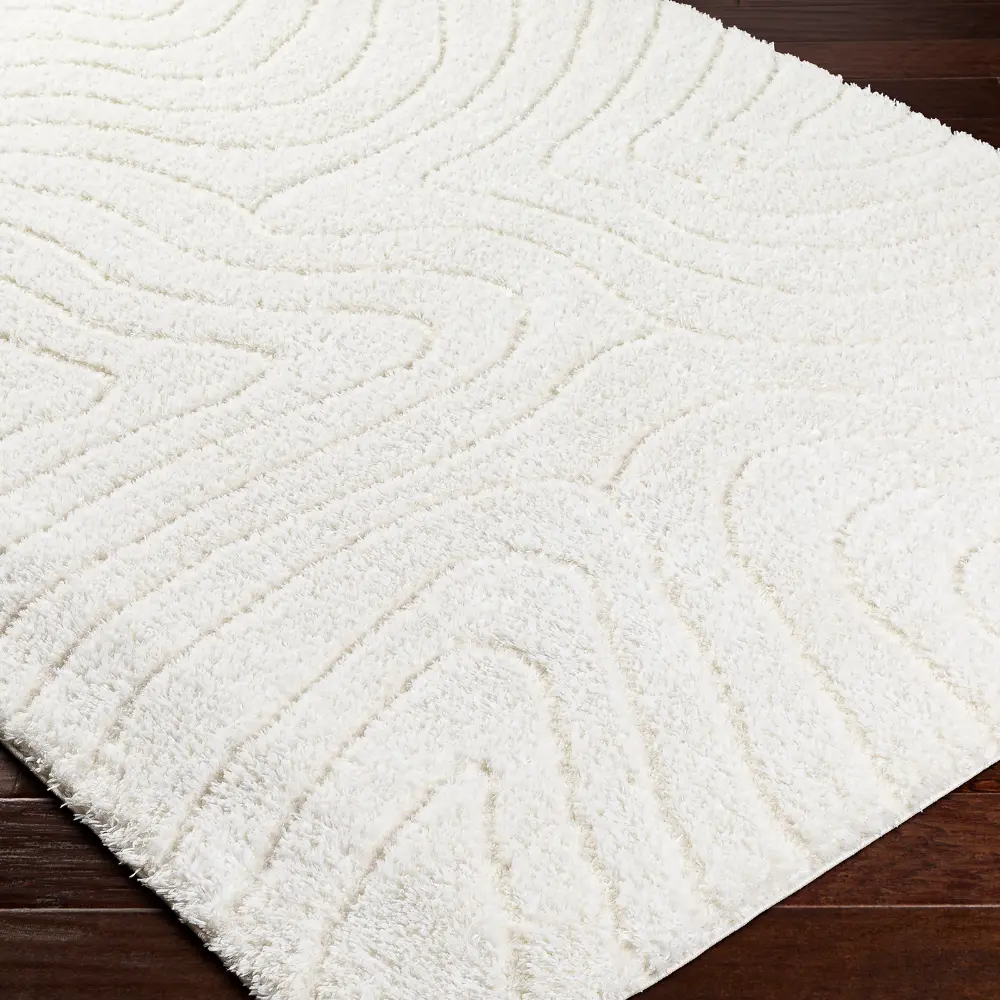 Danae Shaggy Modern Plush Pile Light Beige Rug - Image 2