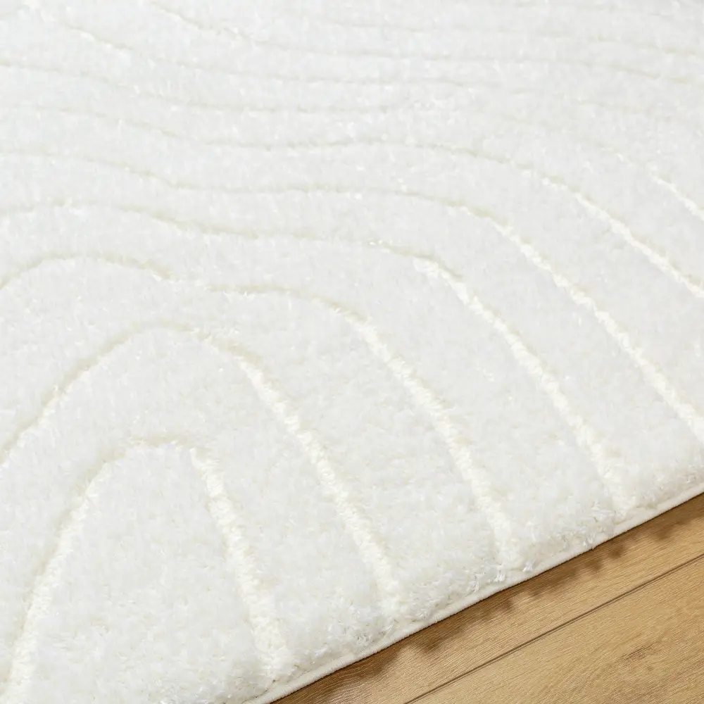 Danae Shaggy Modern Plush Pile Light Beige Rug - Image 4
