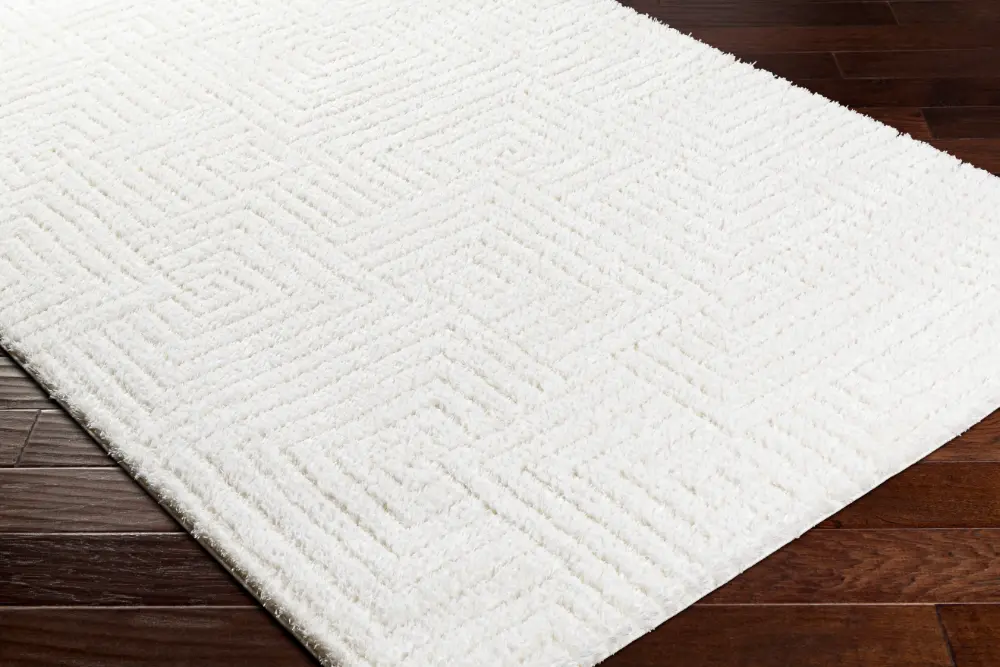 Dariana Shaggy Modern Plush Pile Ivory Rug - Image 5
