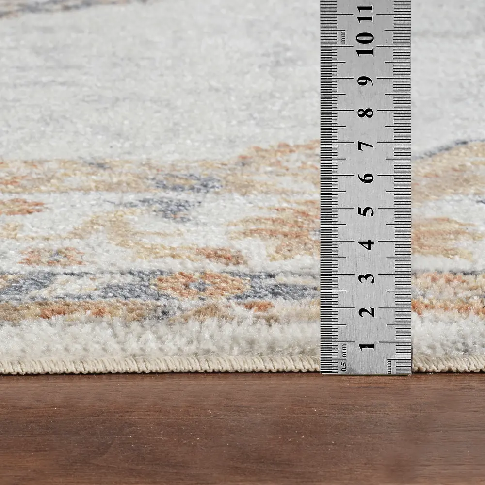 Deepika Machine Washable Oriental Boho Grey/Brown Rug - Image 7