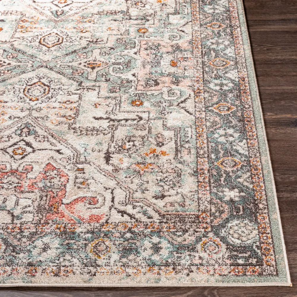 Dia Vintage Oriental Boho Brick Rug - Image 8