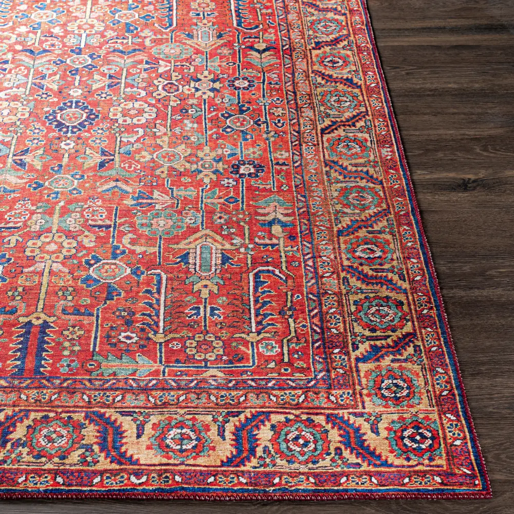 Doina Vintage Oriental Boho Sky Burnt Orange Rug - Image 6