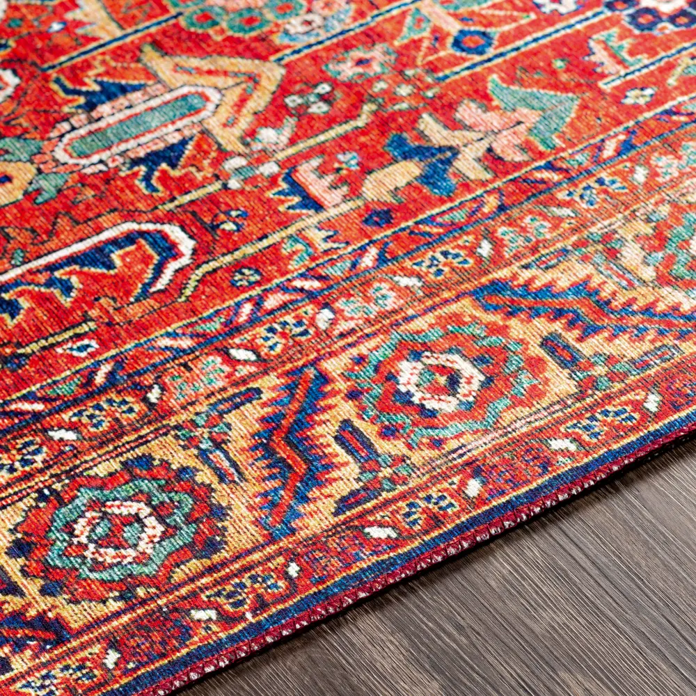 Doina Vintage Oriental Boho Sky Burnt Orange Rug - Image 9