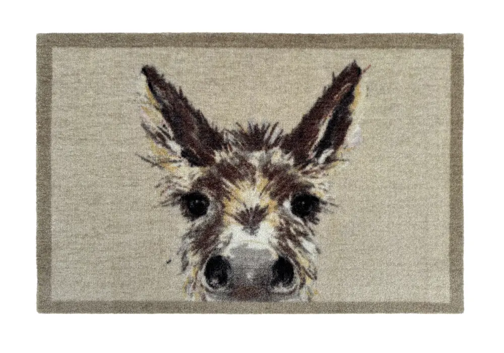 Donkey Multi - Image 3