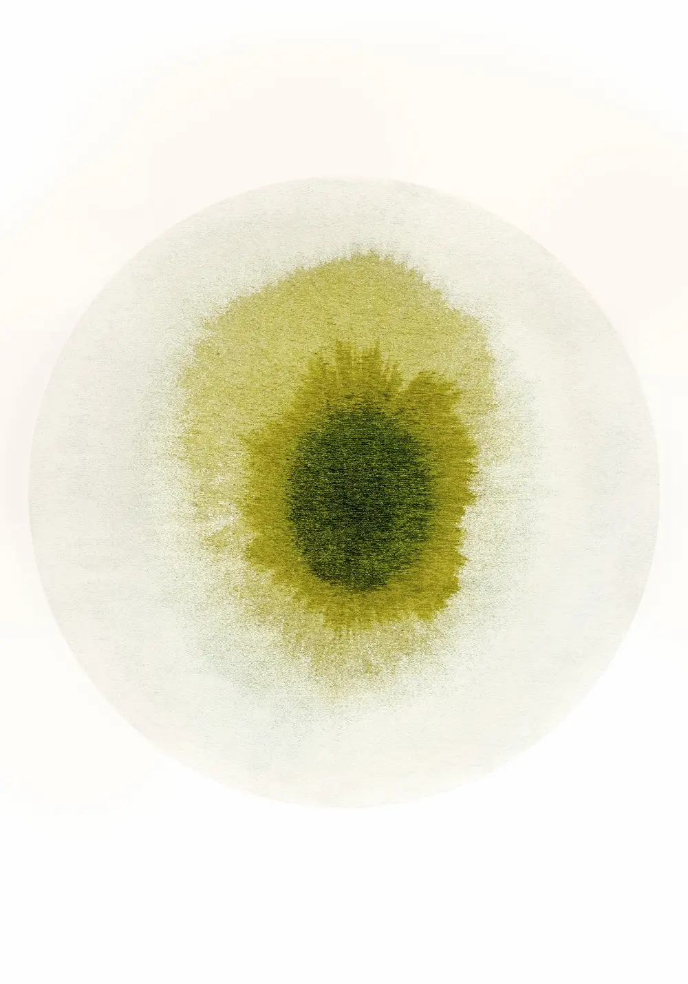 DROP GREEN PEPPER 2105 Washable and Indoor/Outdoor - Image 7