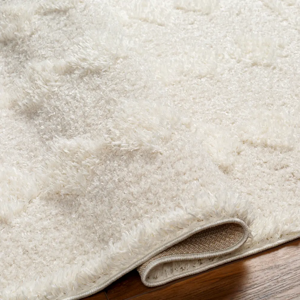 Elaheh Shaggy Modern Plush Pile Light Grey Rug - Image 4