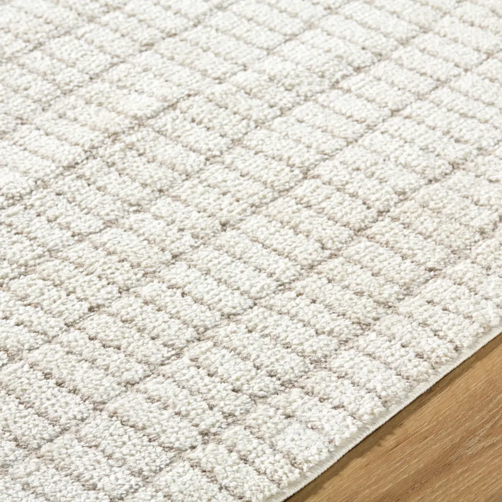 Cascade Our Pnw Home X Livabliss Scandi High Pile Ivory/Taupe Rug - Image 8