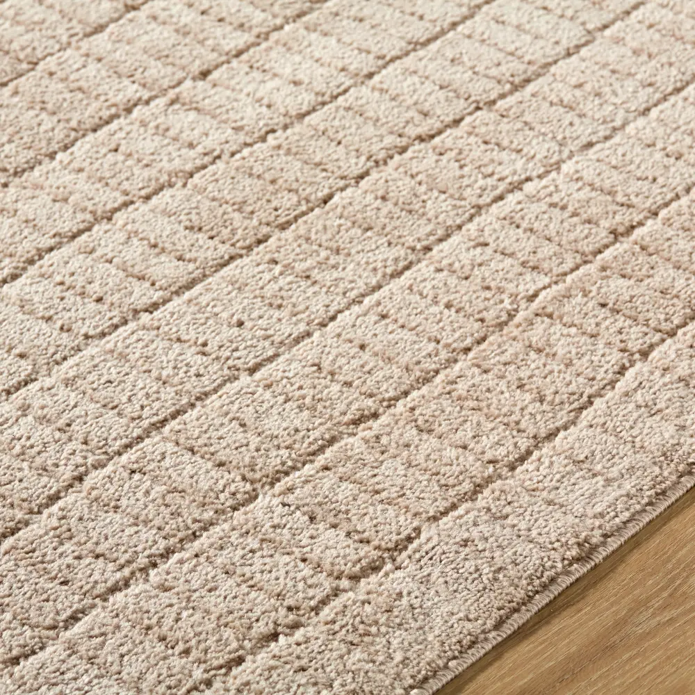 Cascade Our Pnw Home X Livabliss Scandi High Pile Light Beige Rug - Image 3